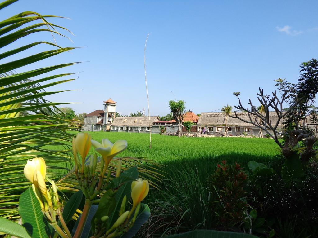 Bening Bungalow Ubud  Exterior photo