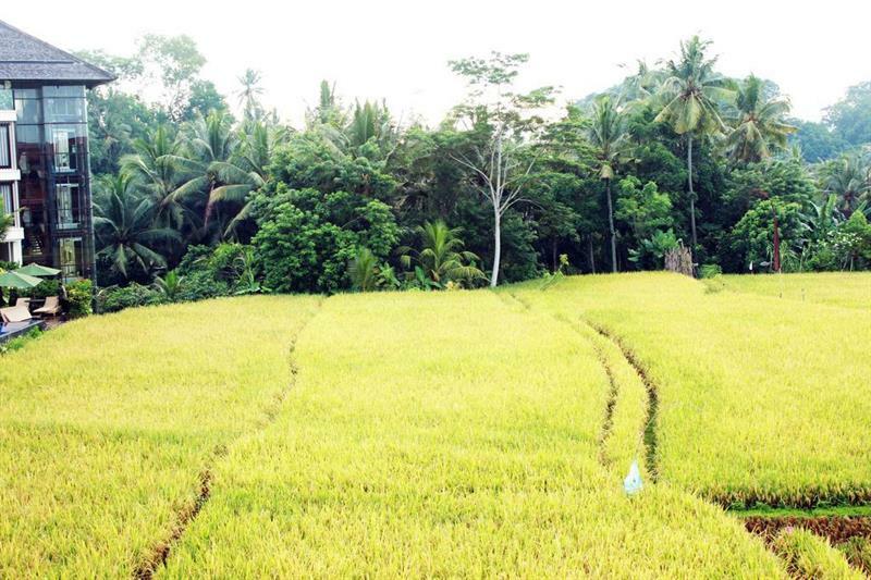 Bening Bungalow Ubud  Exterior photo
